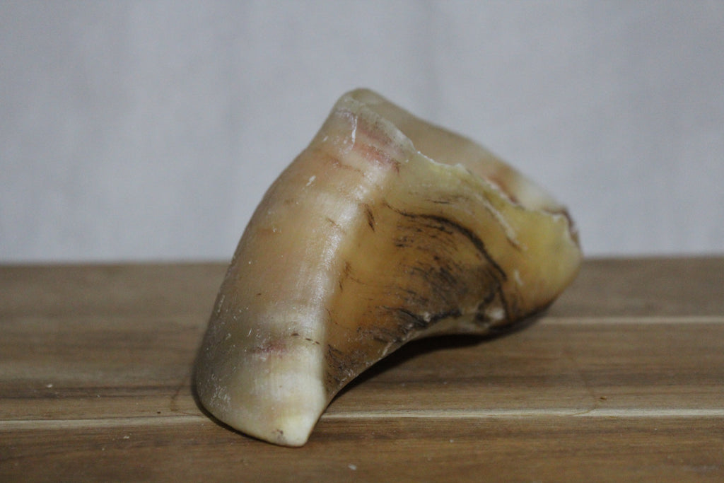 Cow Hooves